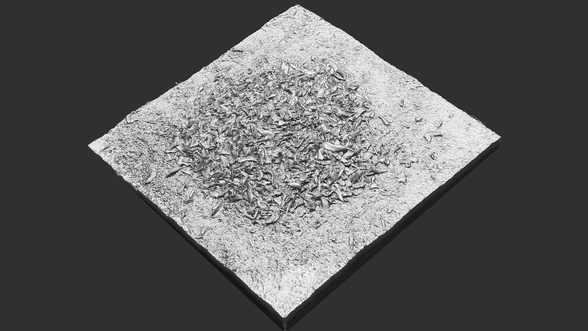 Leaves on the ground 3d scan 3D model_12