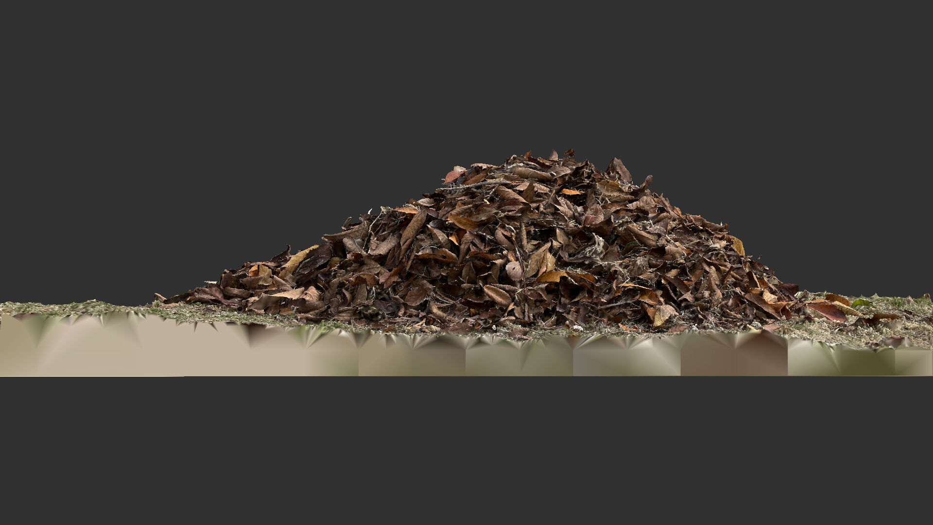 Leaves on the ground 3d scan 3D model_4