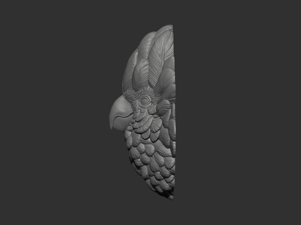 Parrot gold bird head 3D print model_2
