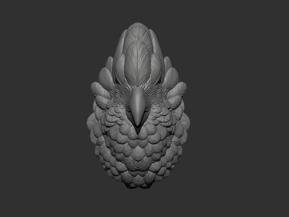 Parrot gold bird head 3D print model_1