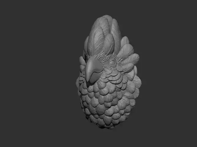 Parrot gold bird head