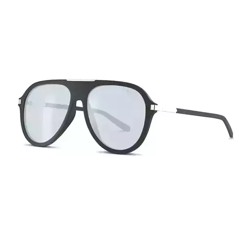 Polaroid - PLD 2071 Sunglasses Low-poly 3D model