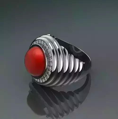 Ring Model 2478