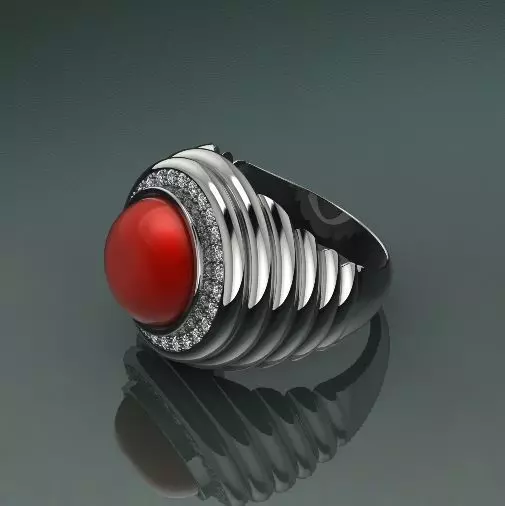 Ring Model 2478 3D print model_0