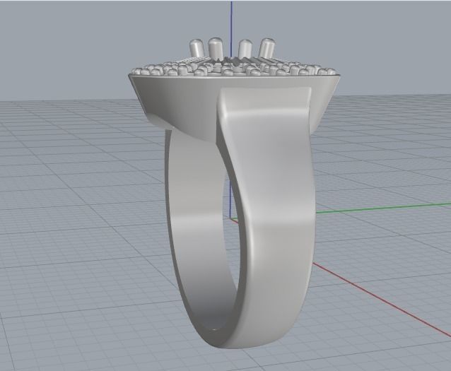 Ring Model 2470 3D print model_4