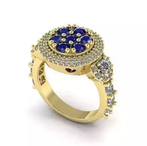 Ring Model 2469