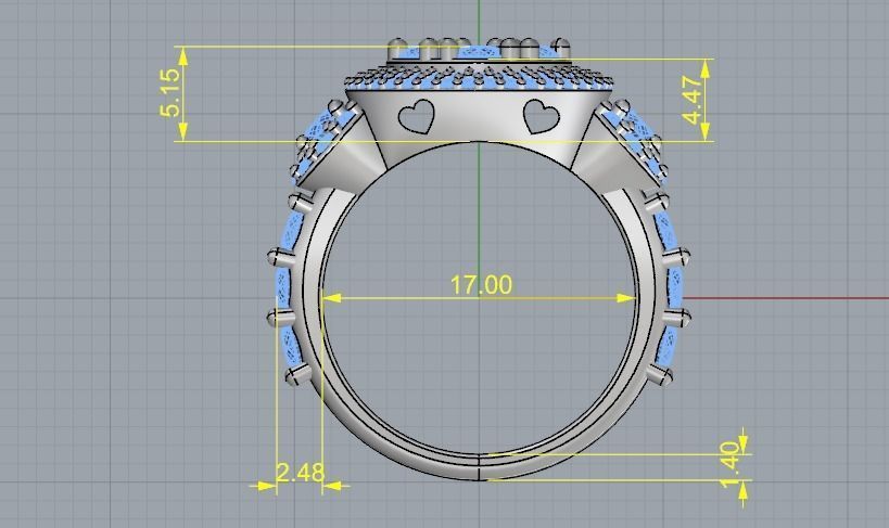 Ring Model 2469 3D print model_5