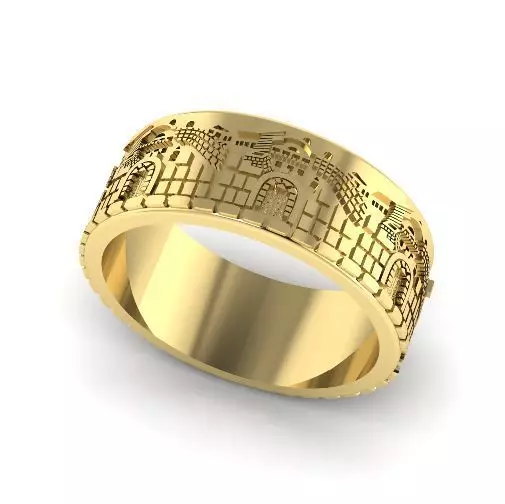 Ring Model 2464 3D print model_0