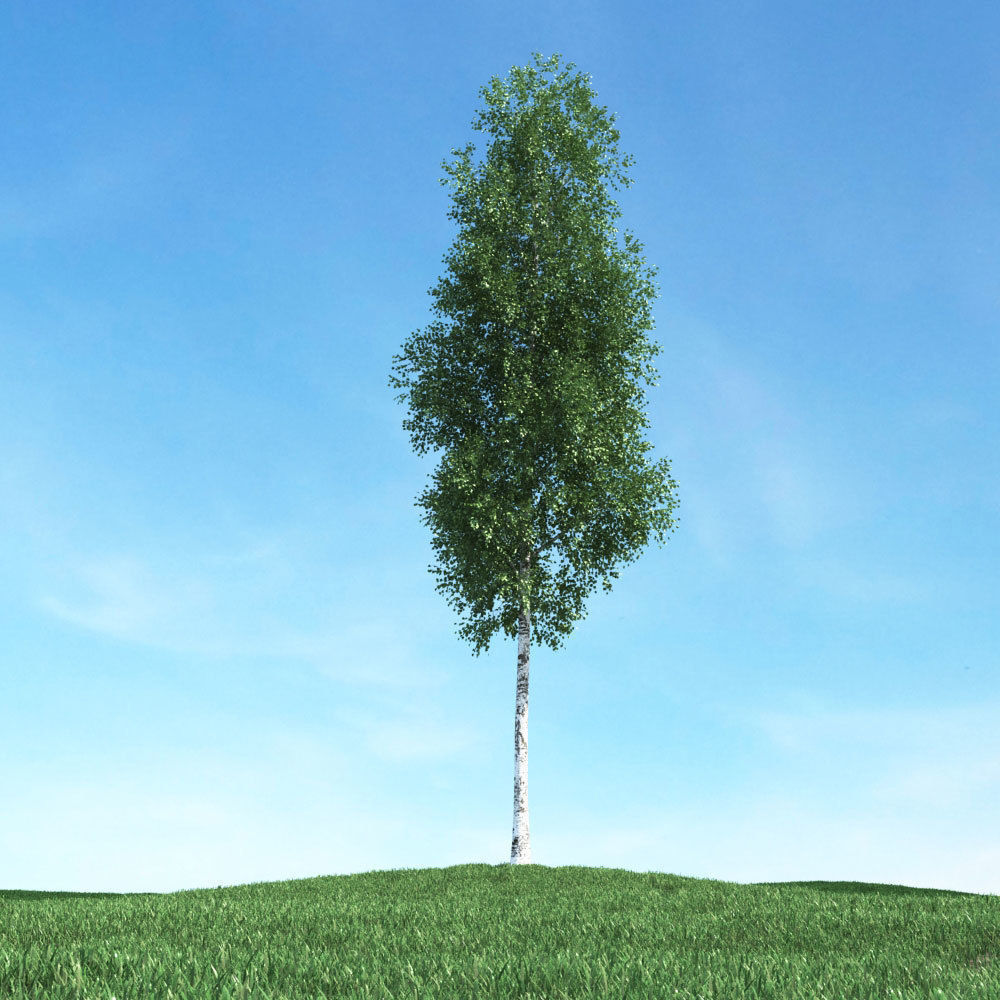 Archmodels vol 106 - Realistic Tress Collection 3D model_10
