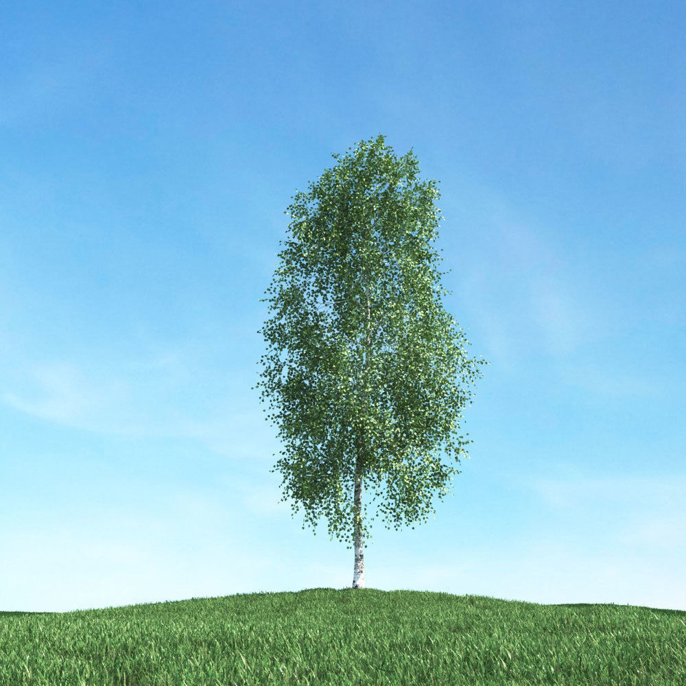 Archmodels vol 106 - Realistic Tress Collection 3D model_9