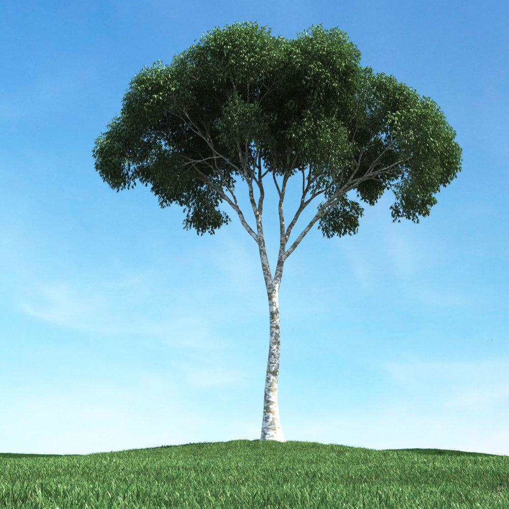 Archmodels vol 106 - Realistic Tress Collection 3D model_31