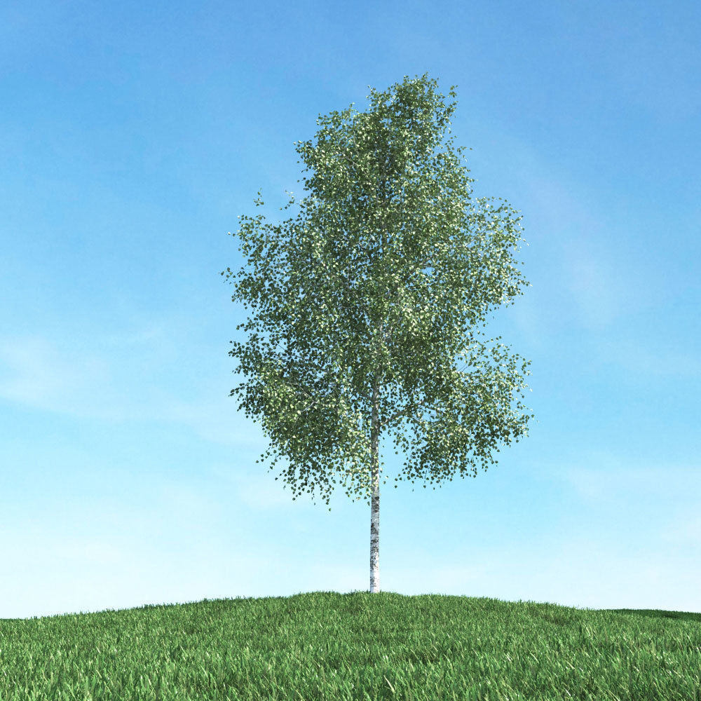 Archmodels vol 106 - Realistic Tress Collection 3D model_4