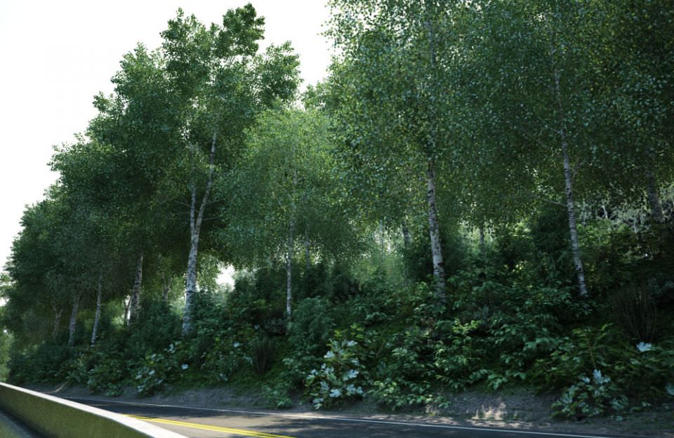 Archmodels vol 106 - Realistic Tress Collection 3D model_2