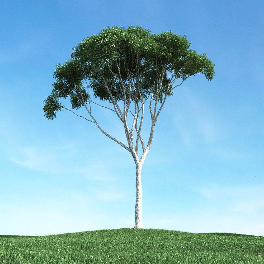 Archmodels vol 106 - Realistic Tress Collection 3D model_29
