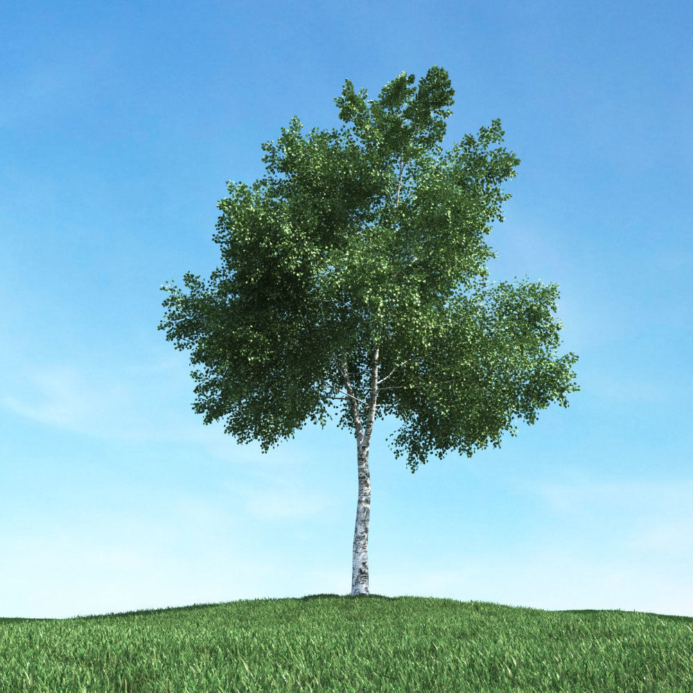 Archmodels vol 106 - Realistic Tress Collection 3D model_6