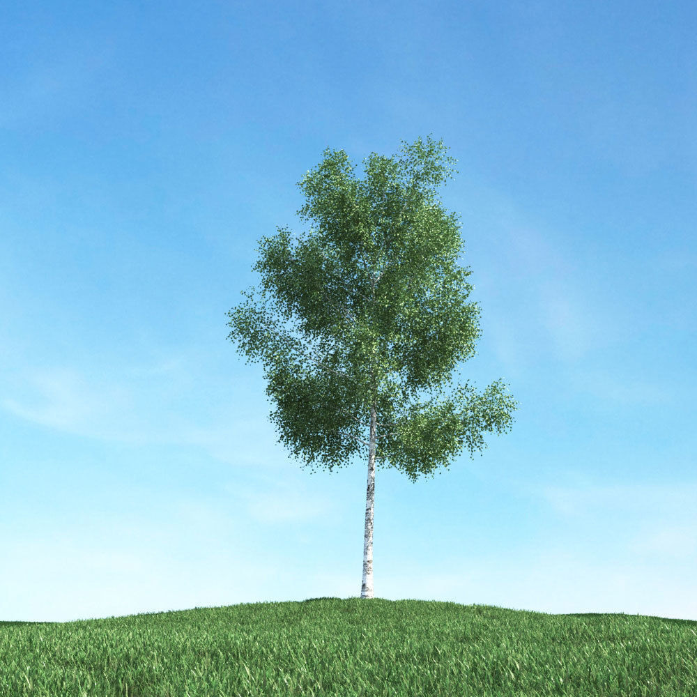 Archmodels vol 106 - Realistic Tress Collection 3D model_8