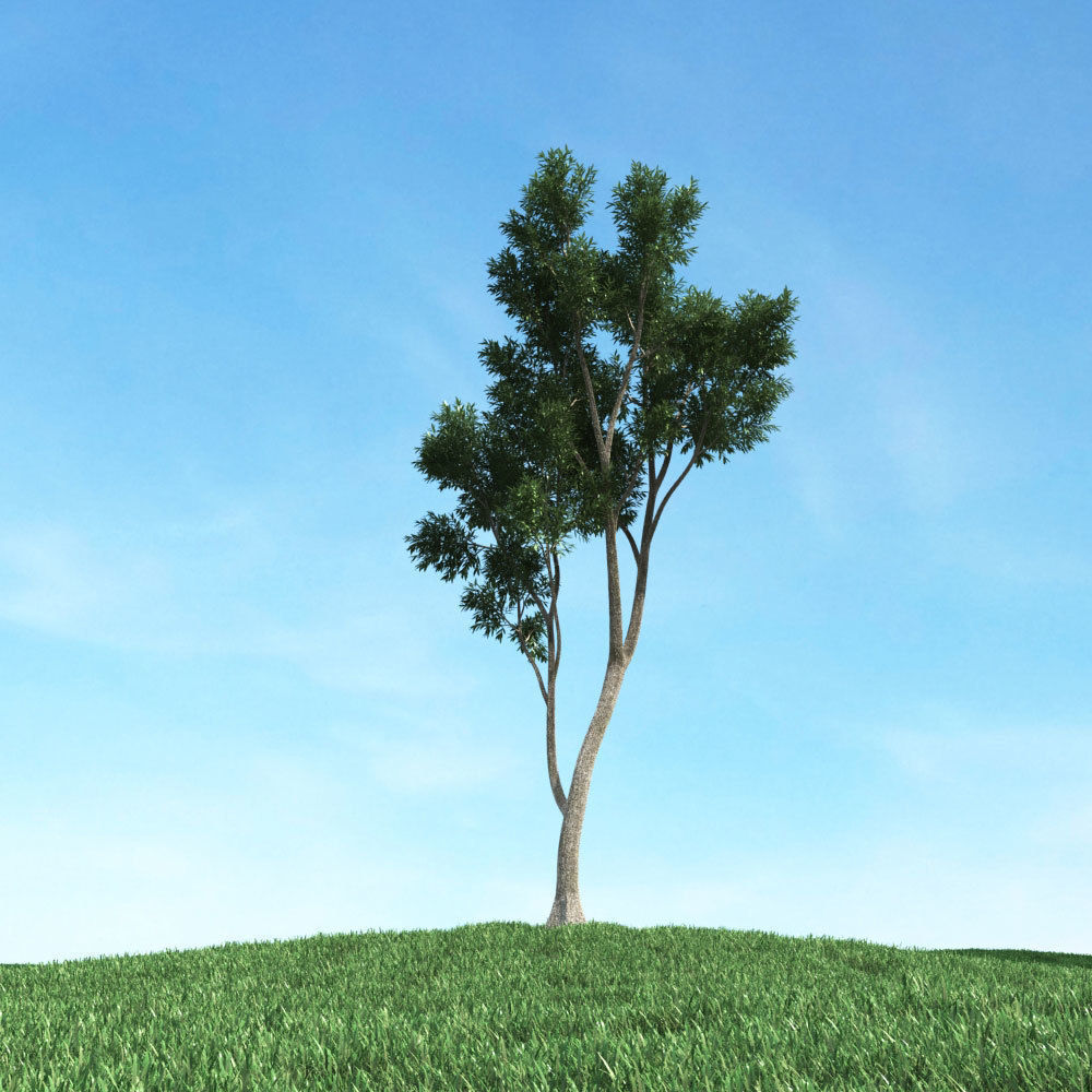 Archmodels vol 106 - Realistic Tress Collection 3D model_28
