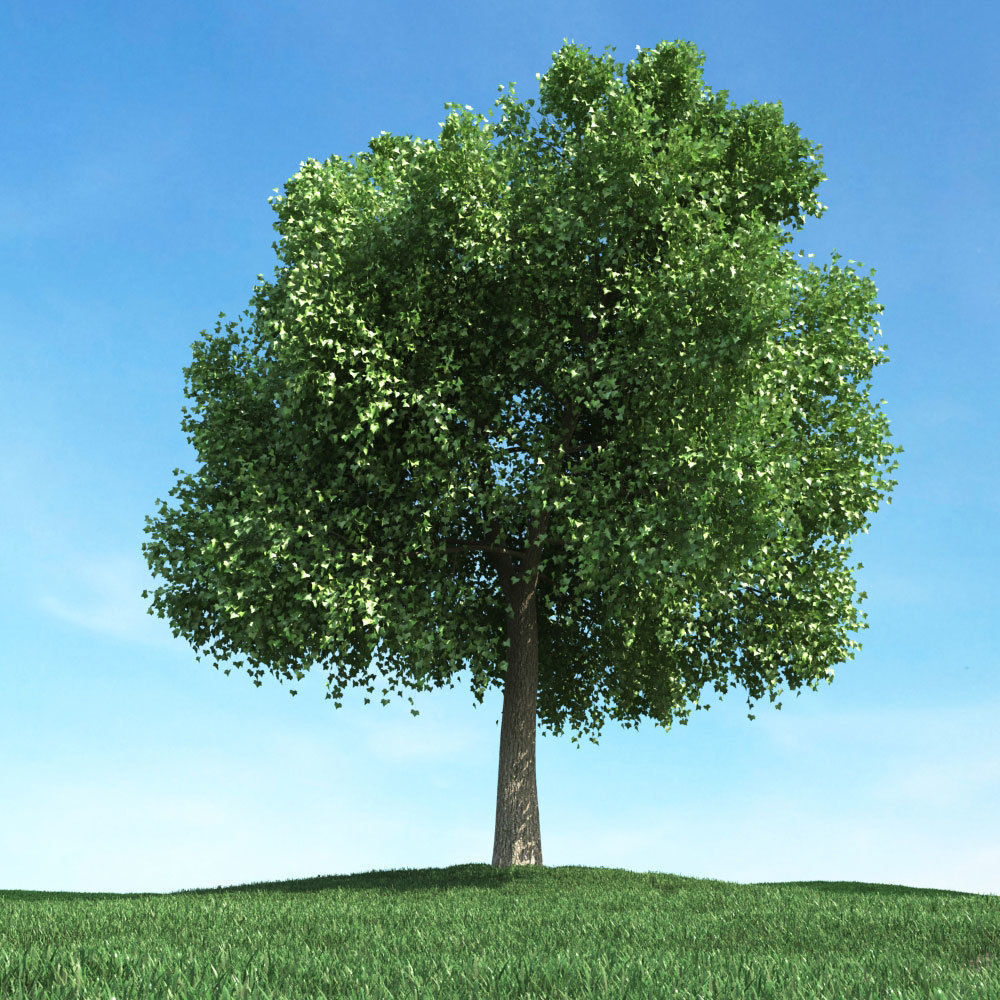 Archmodels vol 106 - Realistic Tress Collection 3D model_45