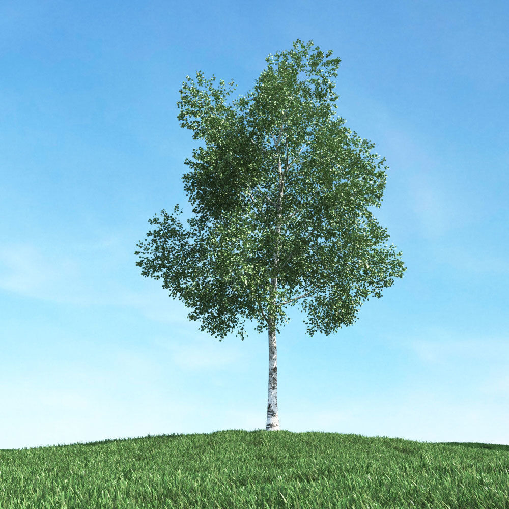 Archmodels vol 106 - Realistic Tress Collection 3D model_5