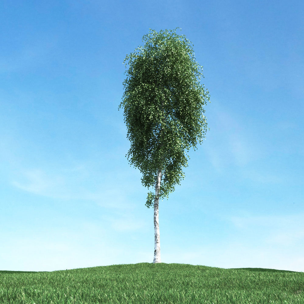 Archmodels vol 106 - Realistic Tress Collection 3D model_12