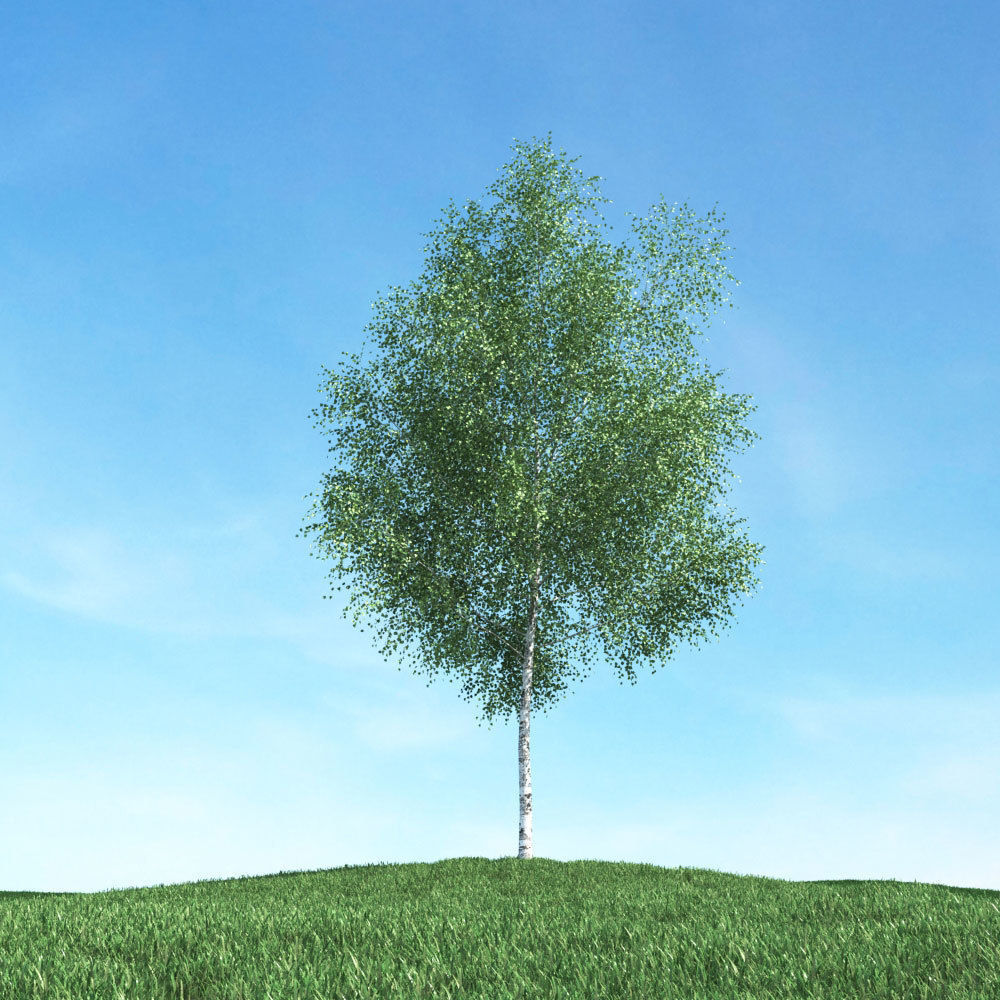 Archmodels vol 106 - Realistic Tress Collection 3D model_7