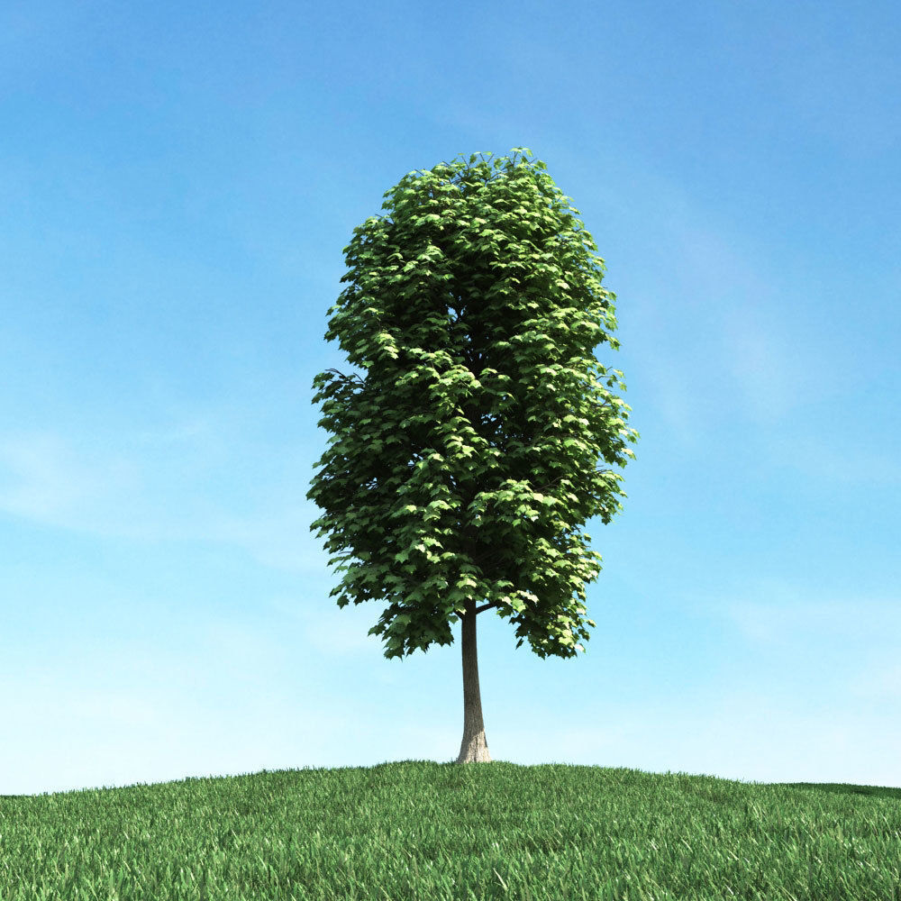 Archmodels vol 106 - Realistic Tress Collection 3D model_33
