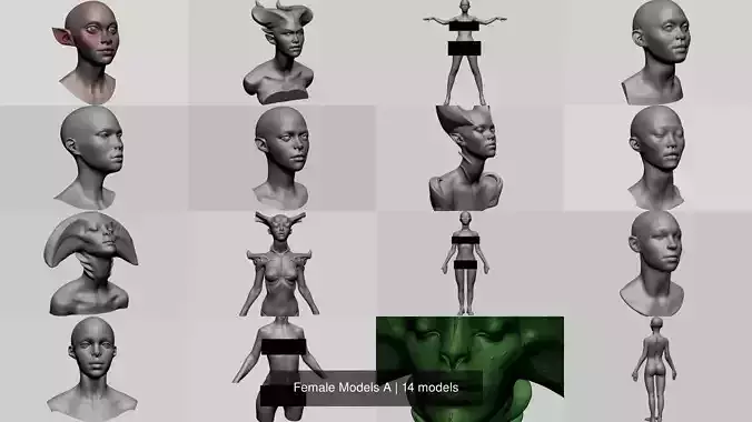 Female Models A 3D Model Collection