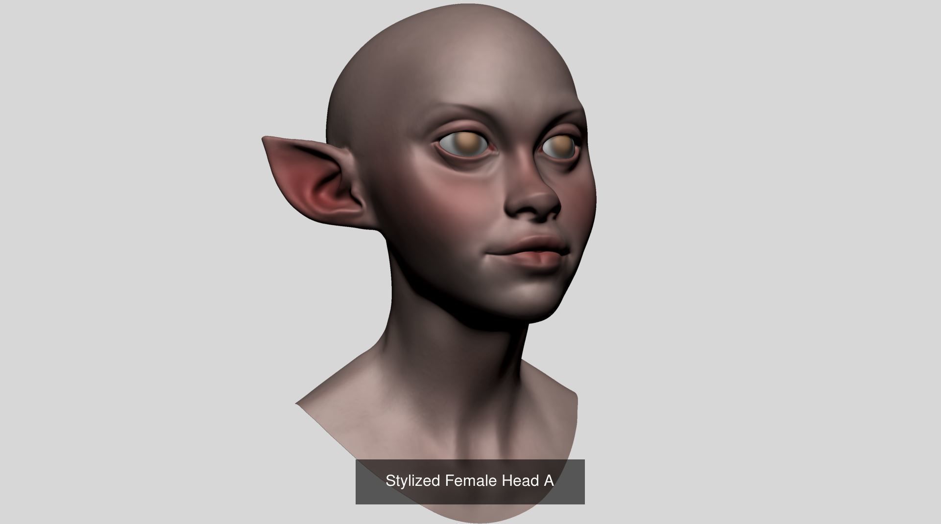 Female Models A 3D Model Collection_1