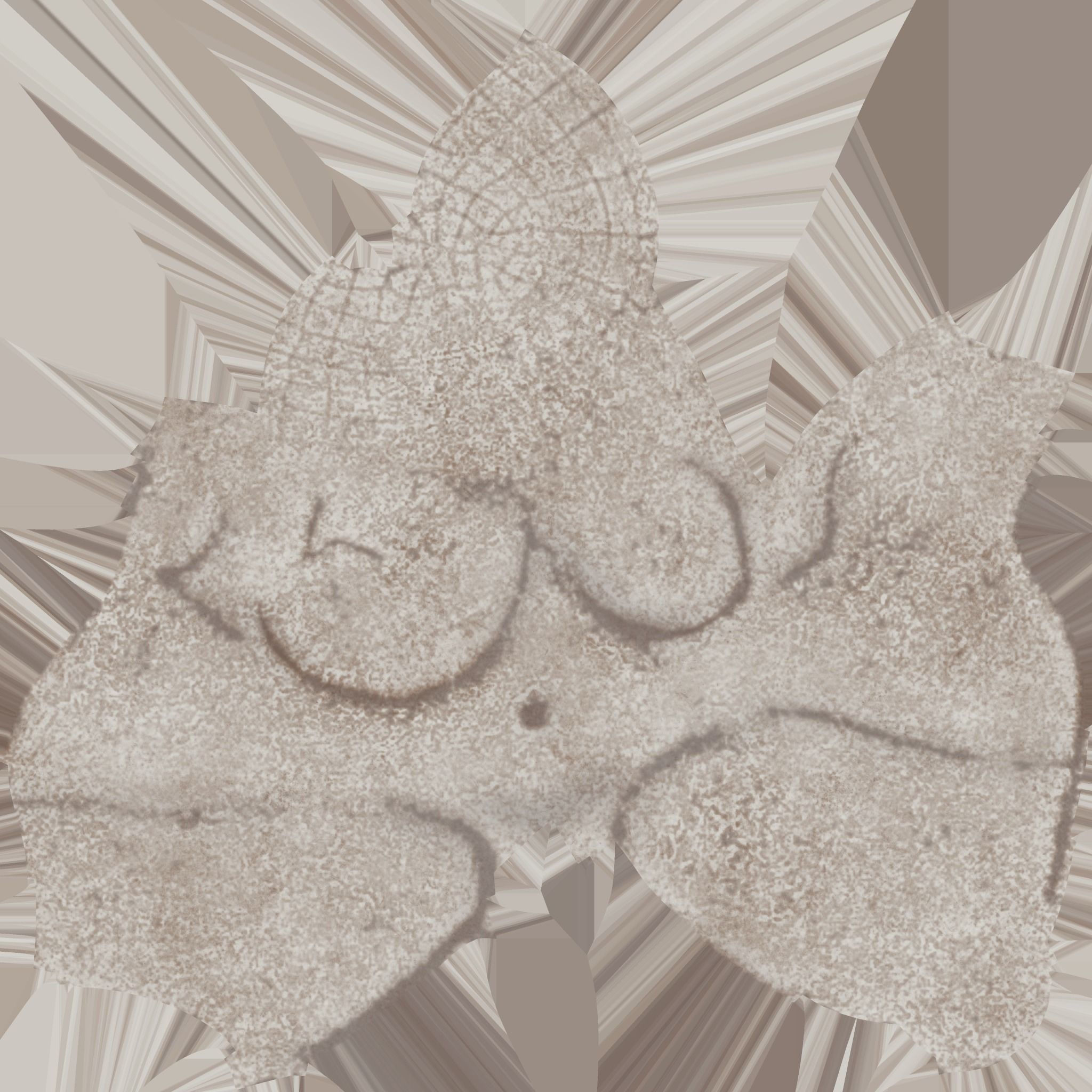 Higger Paleolithic Venus 3D model_7