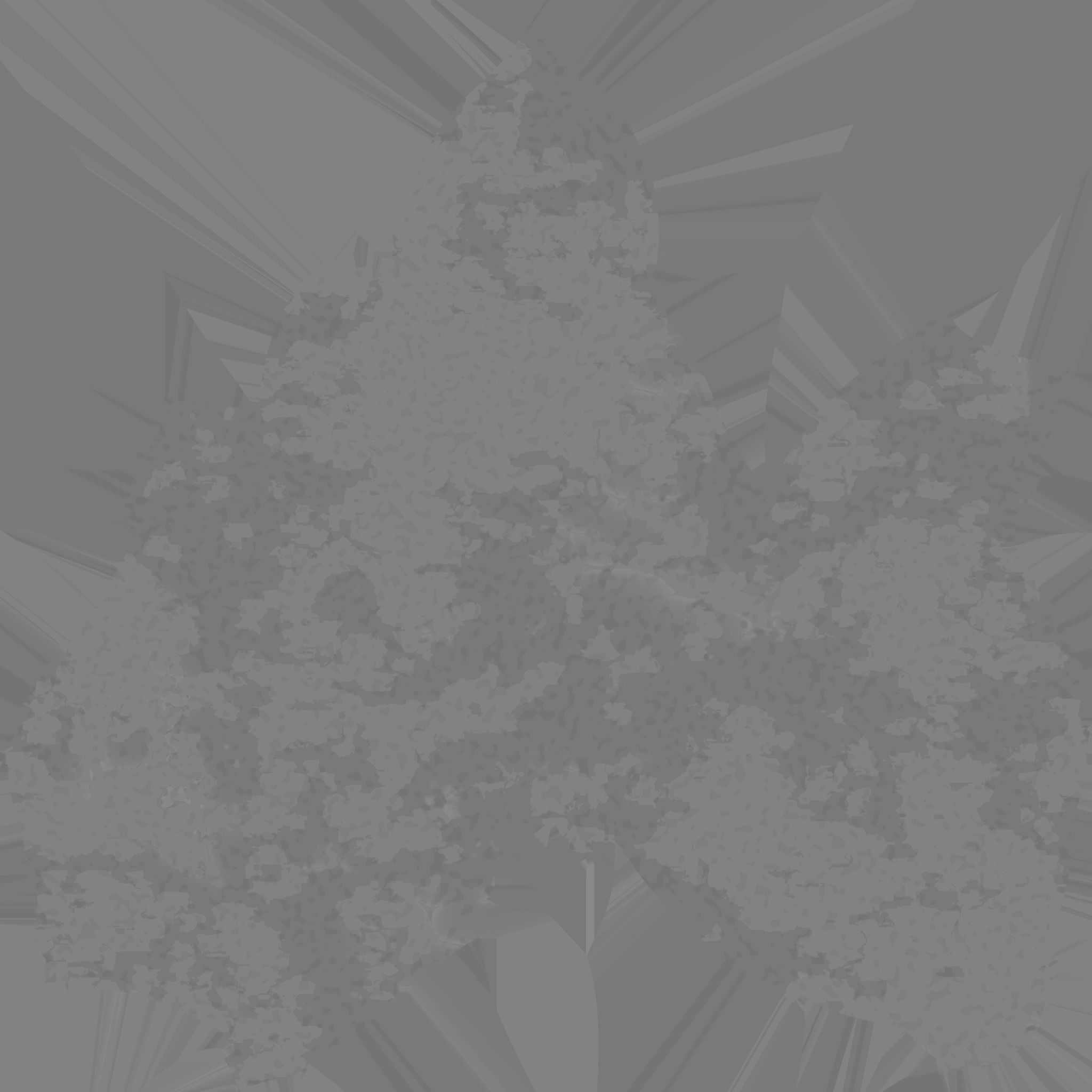 Higger Paleolithic Venus 3D model_8