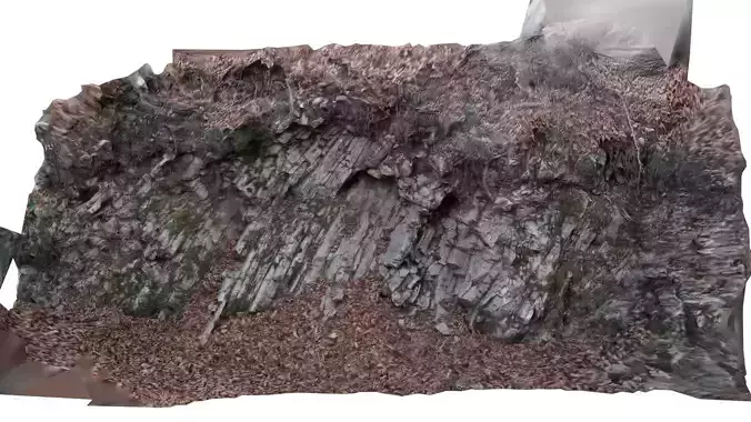 Scanned rock Free 3D model