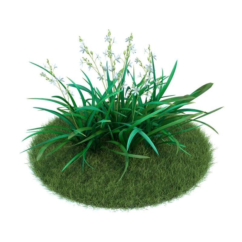 Archmodels vol 86 - Realistic Garden Plants Collection 3D model_5