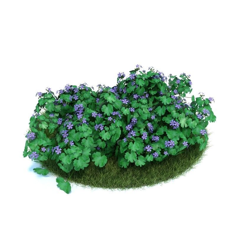 Archmodels vol 86 - Realistic Garden Plants Collection 3D model_27