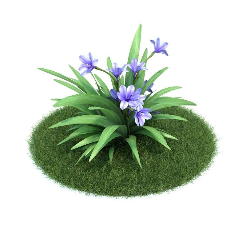 Archmodels vol 86 - Realistic Garden Plants Collection 3D model_9