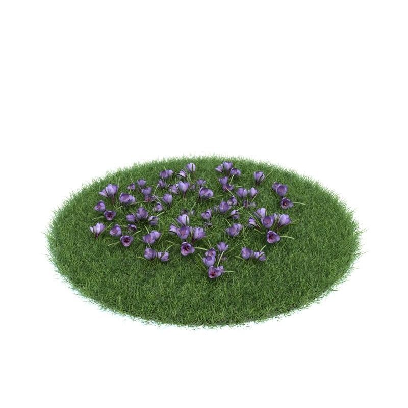 Archmodels vol 86 - Realistic Garden Plants Collection 3D model_18