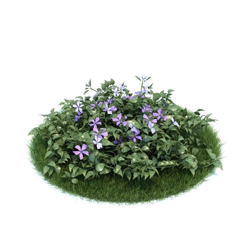 Archmodels vol 86 - Realistic Garden Plants Collection 3D model_49