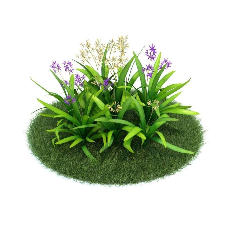 Archmodels vol 86 - Realistic Garden Plants Collection 3D model_11