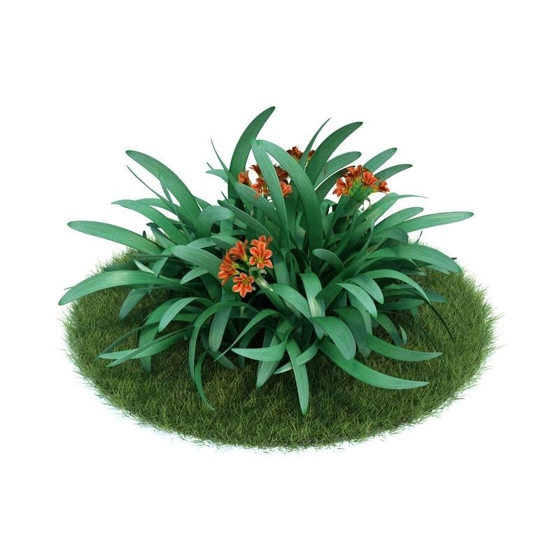 Archmodels vol 86 - Realistic Garden Plants Collection 3D model_15