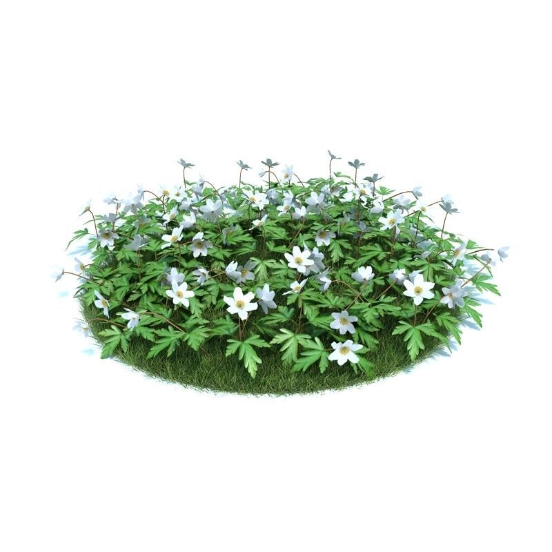 Archmodels vol 86 - Realistic Garden Plants Collection 3D model_4