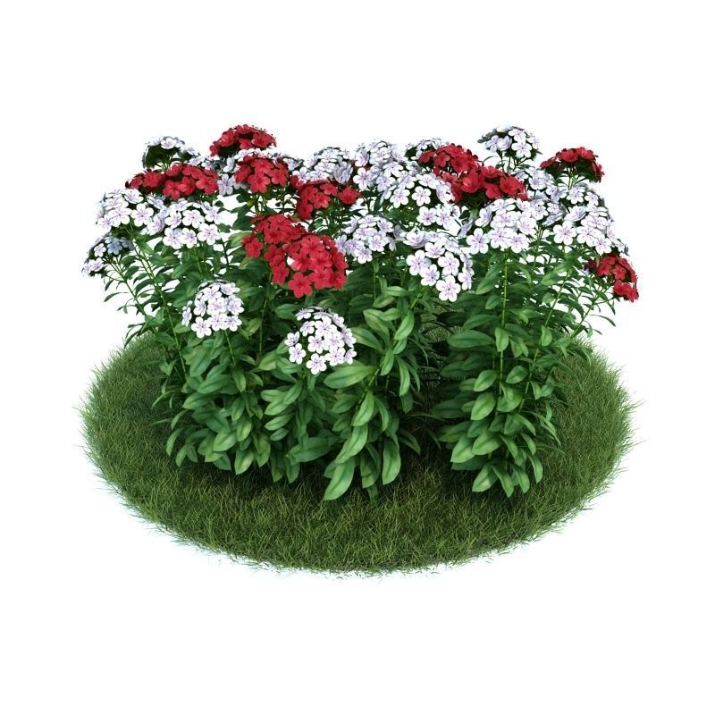 Archmodels vol 86 - Realistic Garden Plants Collection 3D model_22