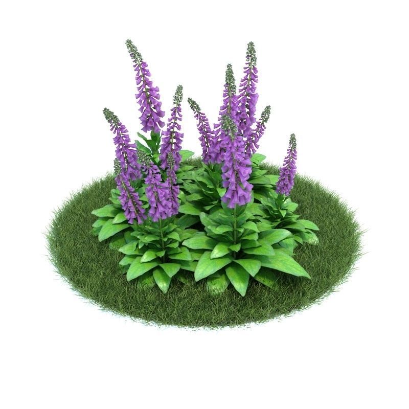 Archmodels vol 86 - Realistic Garden Plants Collection 3D model_24