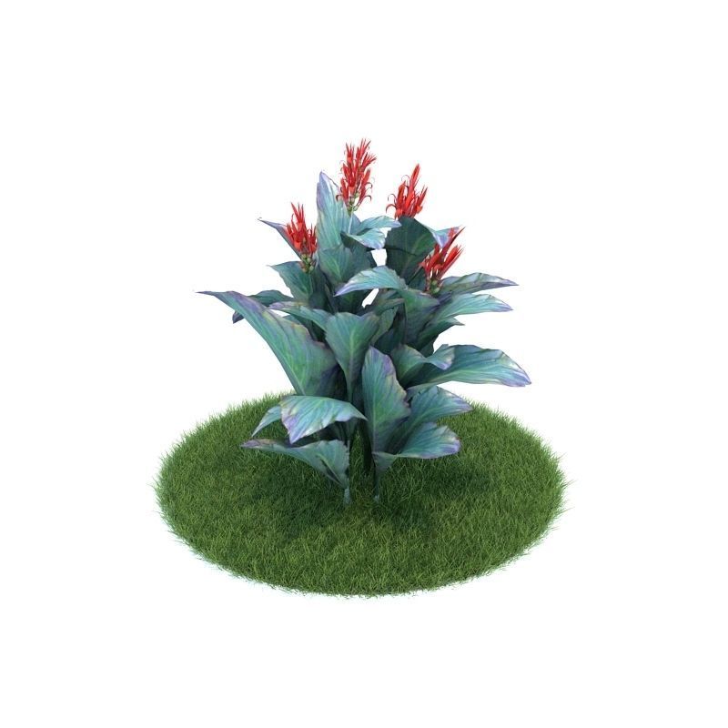 Archmodels vol 86 - Realistic Garden Plants Collection 3D model_52