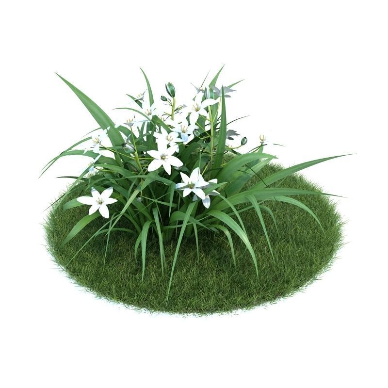 Archmodels vol 86 - Realistic Garden Plants Collection 3D model_41