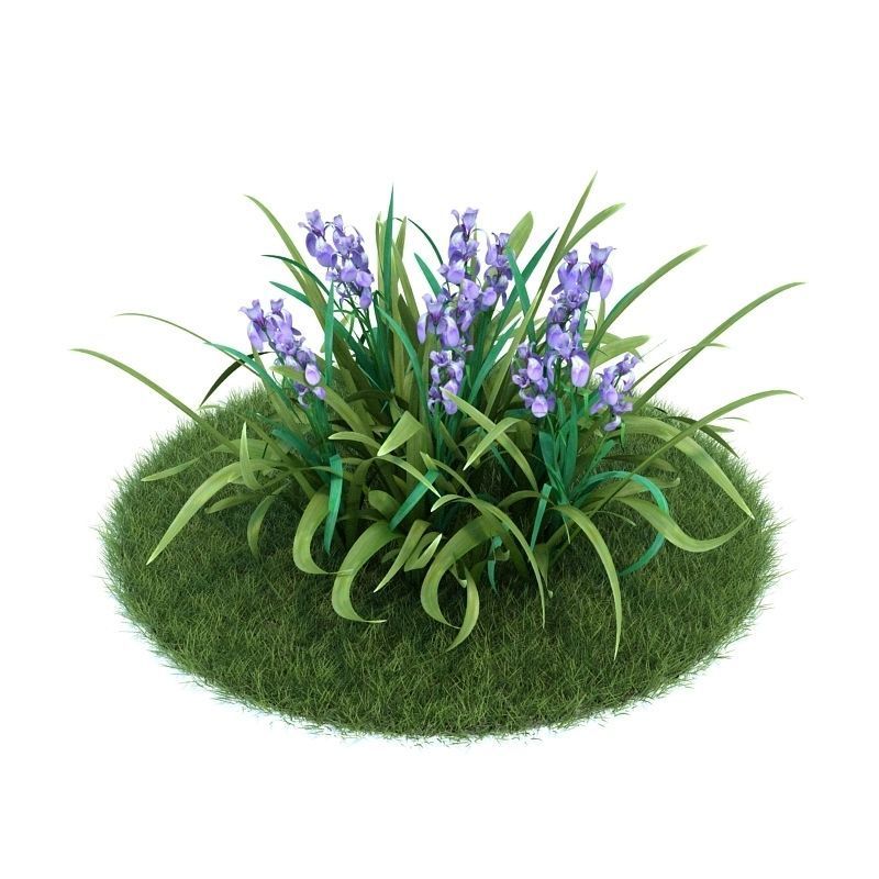 Archmodels vol 86 - Realistic Garden Plants Collection 3D model_33