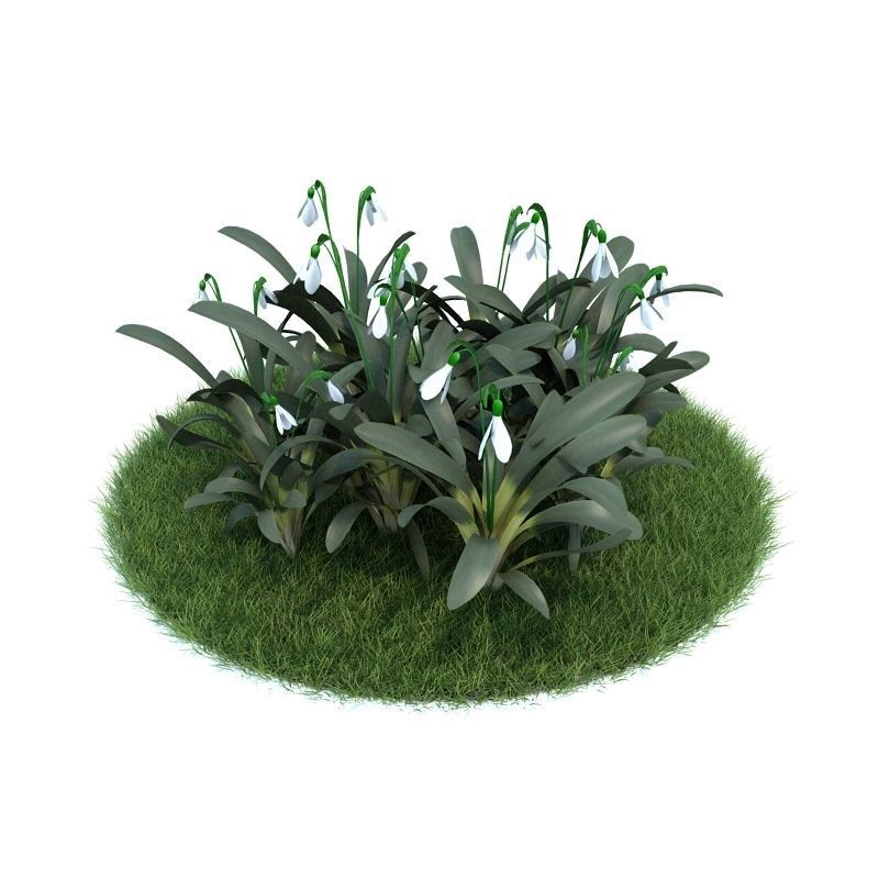 Archmodels vol 86 - Realistic Garden Plants Collection 3D model_26