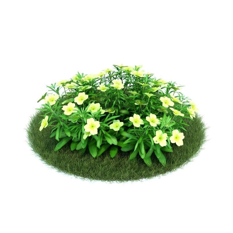 Archmodels vol 86 - Realistic Garden Plants Collection 3D model_39