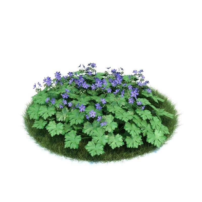 Archmodels vol 86 - Realistic Garden Plants Collection 3D model_28