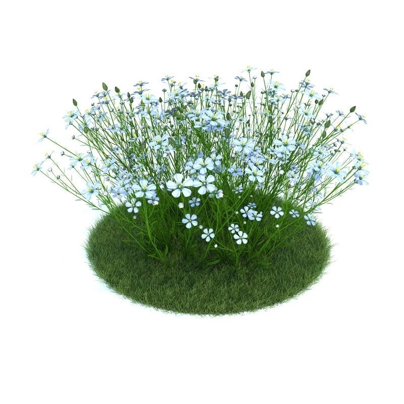 Archmodels vol 86 - Realistic Garden Plants Collection 3D model_37