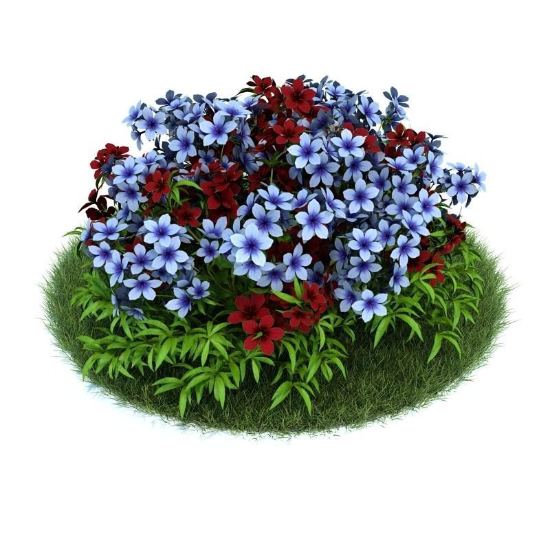 Archmodels vol 86 - Realistic Garden Plants Collection 3D model_42