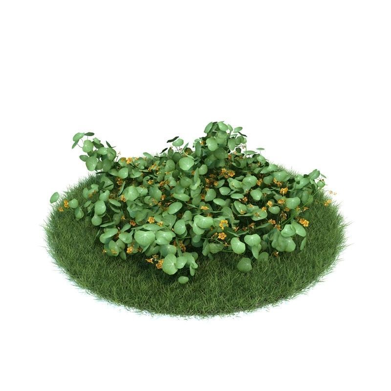 Archmodels vol 86 - Realistic Garden Plants Collection 3D model_47